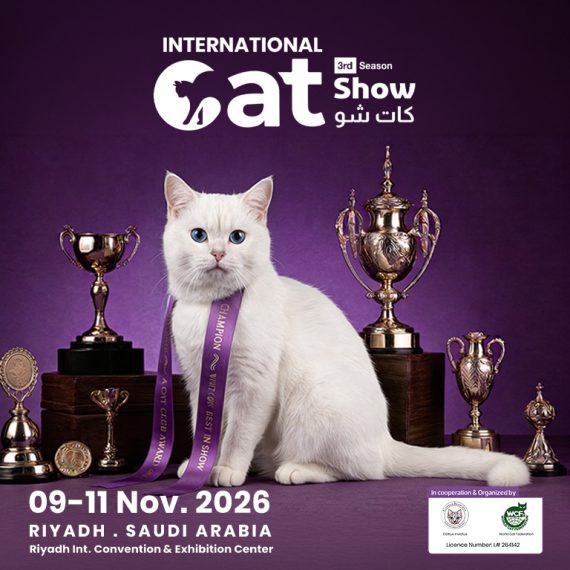 Cat Show in Riyadh Exhibitions
