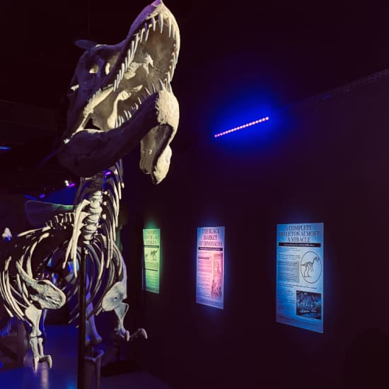 Dinosaurs: The Immersive Odyssey at Dubai Festival City Mall